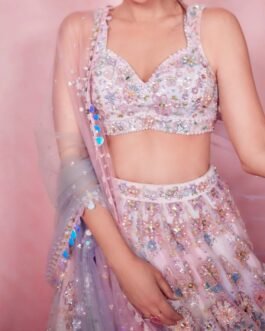 Ombre Pink and Blue Heavy Embellished Lehenga