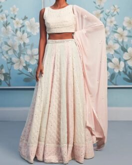 Soft Pastel Multicolor Thread Embroidered Lehenga