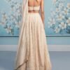 Golden Cream Thread Embroidered Lehenga - Image 3