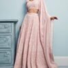 Blush Pink Thread Embroidered Lehenga