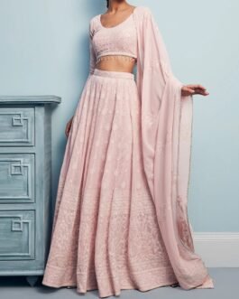 Blush Pink Thread Embroidered Lehenga