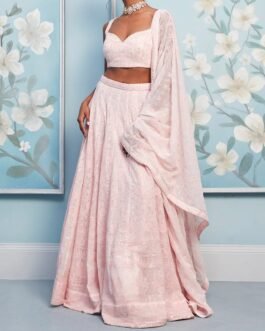 Light Pink Thread Embroidered Lehenga