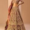 Magenta Multicolor Embroidered Lehenga