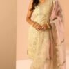 Light Yellow Embroidered Straight Suit
