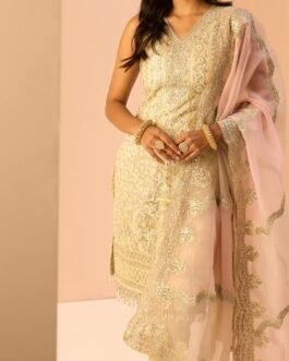 Light Yellow Embroidered Straight Suit