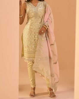 Light Yellow Embroidered Straight Suit