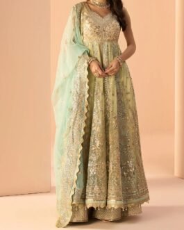 Green and Light Blue Embroidered Anarkali Style Sharara