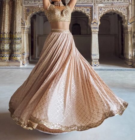 Nude and Gold Embroidered Lehenga - Image 3