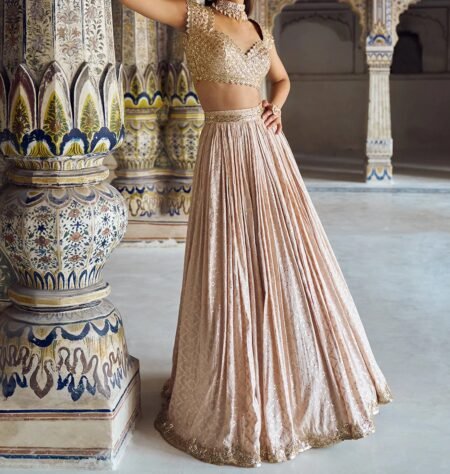 Nude and Gold Embroidered Lehenga - Image 4