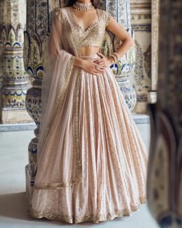 Nude and Gold Embroidered Lehenga