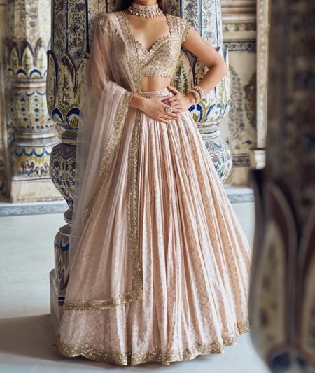 Nude and Gold Embroidered Lehenga