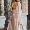 Nude and Gold Embroidered Lehenga - Image 5
