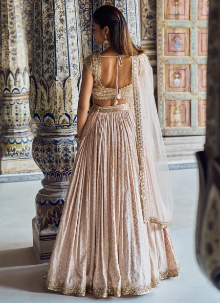 Nude and Gold Embroidered Lehenga - Image 5