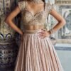 Nude and Gold Embroidered Lehenga - Image 2
