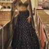 Black and Gold Embroidered Lehenga