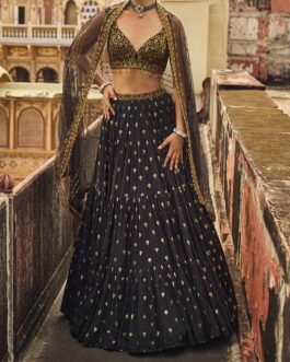 Black and Gold Embroidered Lehenga