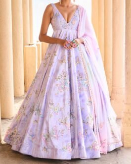 Periwinkle Embellished Velvet Anarkali Gown