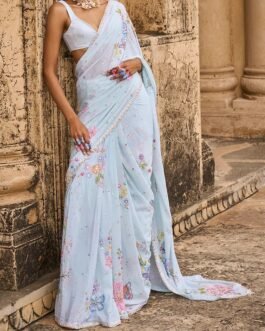 Soft Mint Embellished Chinon Saree