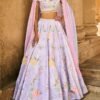 Periwinkle Embellished Velvet Lehenga