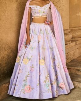 Periwinkle Embellished Velvet Lehenga