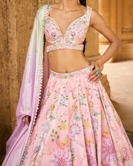 Multicolor Peach Embellished Velvet Lehenga