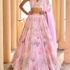 Peachy Pink Embellished Velvet Lehenga