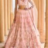 Peach Heavy Embellished Net Lehenga