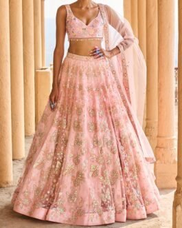 Peach Heavy Embellished Net Lehenga