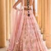 Peach Heavy Embellished Net Lehenga - Image 4