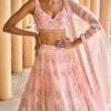 Peach Heavy Embellished Net Lehenga - Image 3
