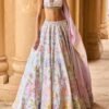 Mint and Purple Embellished Velvet Lehenga