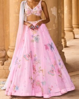 Light Pink Embellished Chiffon Lehenga