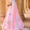 Light Pink Embellished Chiffon Lehenga - Image 2